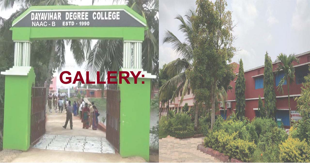 Extension_activities_gallery